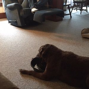 Meet your Posher, Mallory